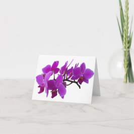 Cartão Placa Vazio Orquídea Roxa