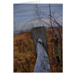 Cartão Placa vedada