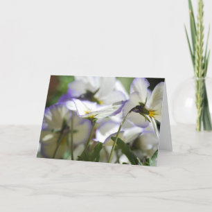 Cartão Placa Violet