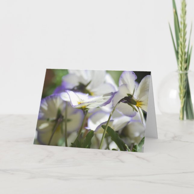 Cartão Placa Violet (Frente)