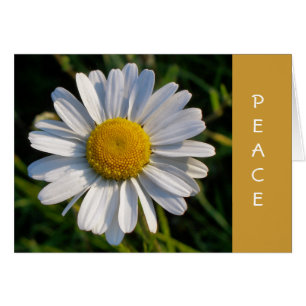 CARTÃO PLACA WILDFLOWER