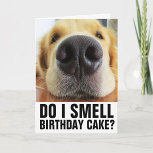 CARTÃO PLACAS DE ANIVERSÁRIO DE CLOSEUP DE CACHORRO FUNN