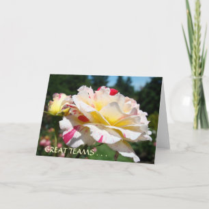 Cartão Placas de excelente LÍDERES Comprometidas Placas P