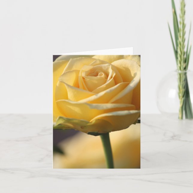 CARTÃO PLACAS DE NOTA DE ROSE AMARELO (Frente)