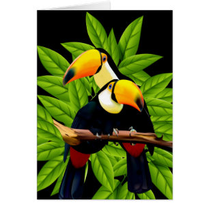 Cartão Placas de Nota para Toucans Exóticos