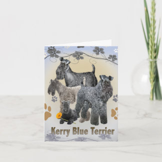 Cartão Placas de saudação Kerry Blue Terrier