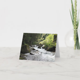 Cartão Placas de Vazio de floresta e fluxo