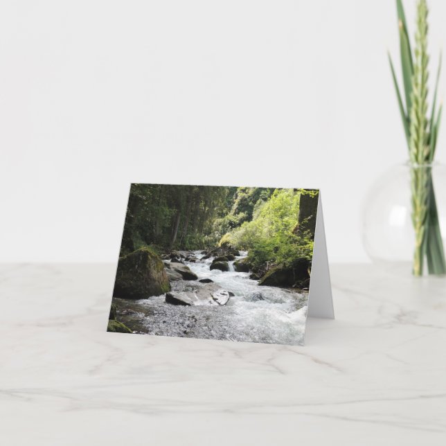 Cartão Placas de Vazio de floresta e fluxo (Frente)