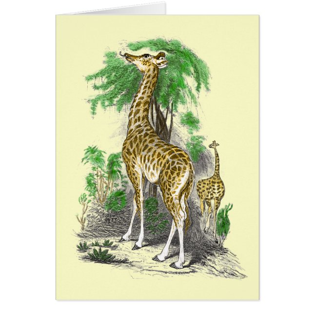 Cartão Placas Giraffe (Frente)
