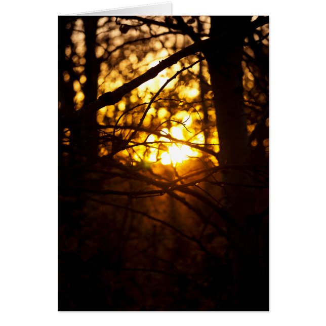 Cartão Placas Sunset (Frente)