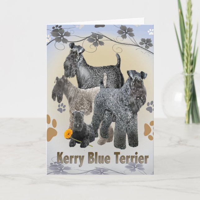 Cartão Placas Terrier Azul Kerry (Frente)