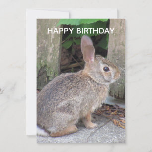 Cartão plano de aniversário de foto de coelho boni