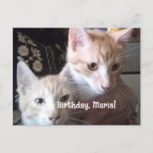 cartão plano de aniversário de saudações