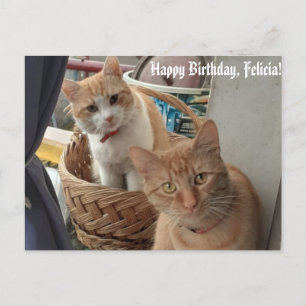 cartão plano de aniversário de saudações