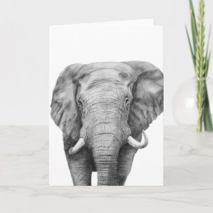 Cartão Plano de backup IV