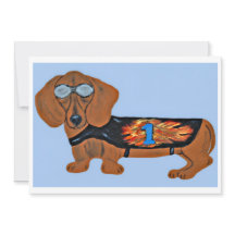 Cartão Plano de Dachshund com Jaqueta de Corrida