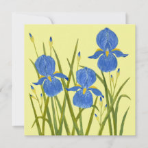Cartão Plano de Flores de Íris Azul