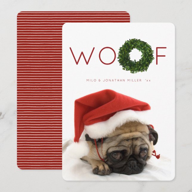 Cartão plano de Natal de Boxwood Wreath Pet (Frente/Verso)