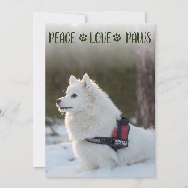 Cartão plano de natal fotográfico para cães (Frente)