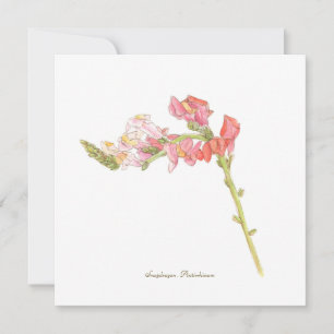 Cartão plano Snapdragon