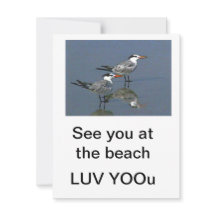 Cartão plano Vejo você na praia JGibney The Museum