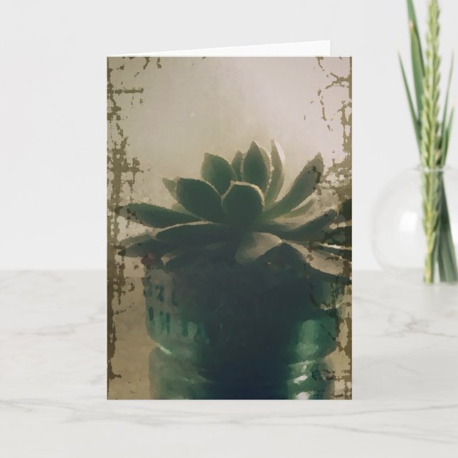 Cartão Planta (Frente)