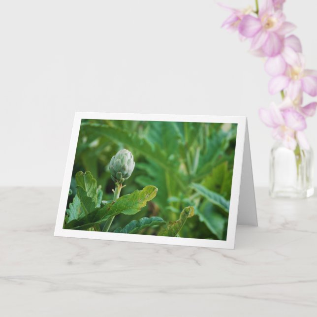 Cartão Planta de Cardo de Alcachofra (Orquídea)