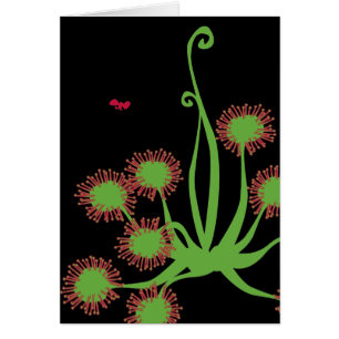 Cartão Planta de Sundew carnívora