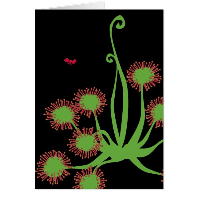 Cartão Planta de Sundew carnívora (Frente)
