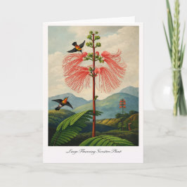 Cartão Planta Sensível de Flores Grandes — Botânica Moder