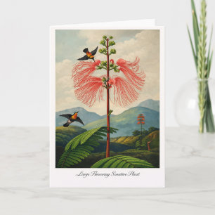 Cartão Planta Sensível de Flores Grandes — Botânica Moder