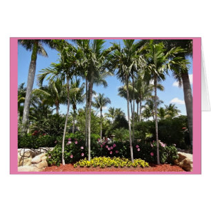 Cartão Plantação Tropical de Coco Bonita Primavera Flórid