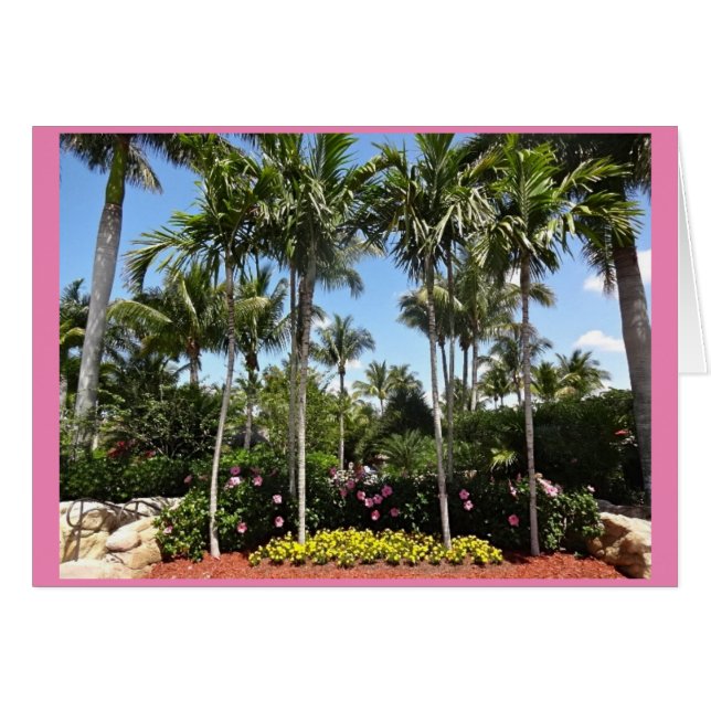Cartão Plantação Tropical de Coco Bonita Primavera Flórid (Frente Horizontal)