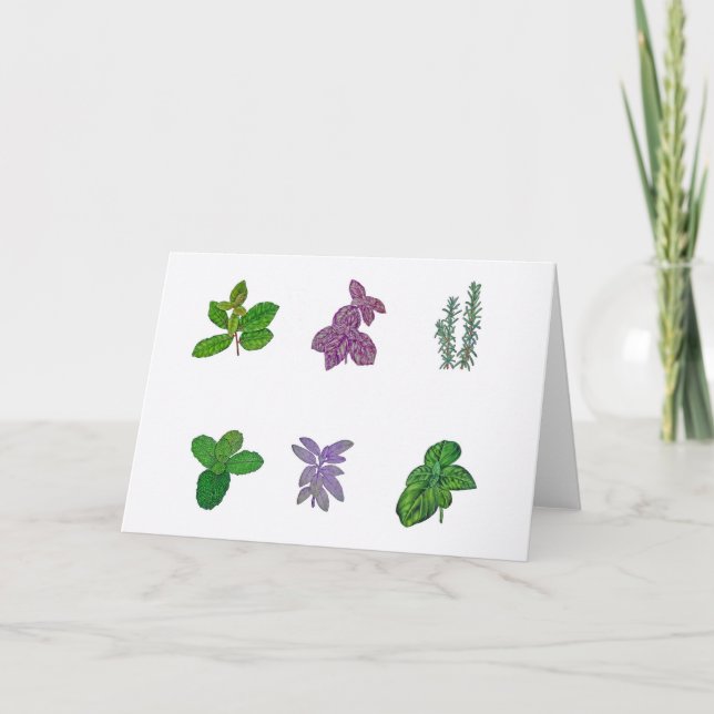 Cartão Plantas aromáticas com aquarela (Frente)