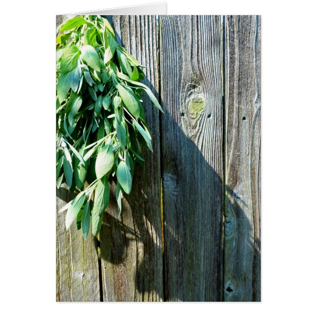 Cartão Plantas aromáticas verdes bovinas, madeiras em dif (Frente)