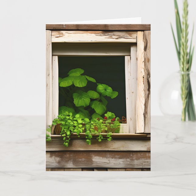 Cartão Plantas bonito no Aniversário da Janela Russa (Frente)