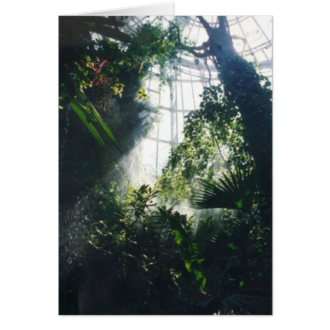 Cartão Plantas Tropicais (Frente)