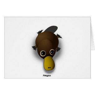 Cartão platypus