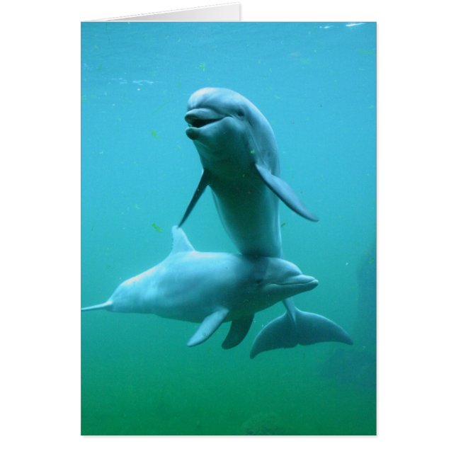 Cartão Playtime (Frente)