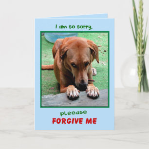 Cartão "Please Forgive Me" greeting card