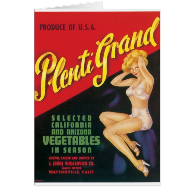 Cartão Plenti grande (Frente)