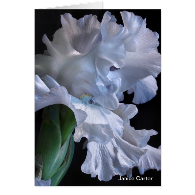 Cartão Plissados (Frente)