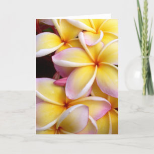 Cartão Plumeria