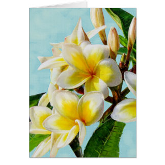 Cartão plumeria amarelo