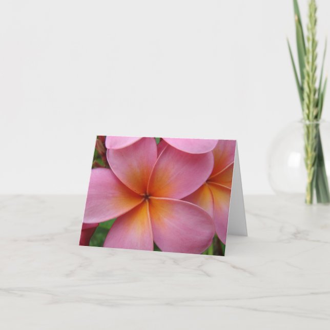 Cartão Plumeria cor-de-rosa Notecard (Frente)