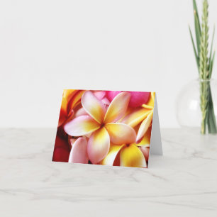 Cartão Plumeria Frangipani Hawaii Flor Vazio Personalizad