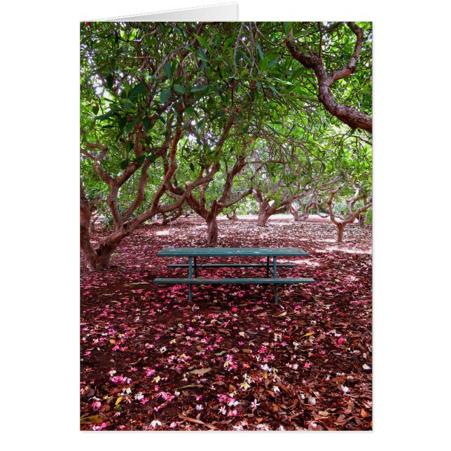 Cartão Plumeria Grove (Frente)