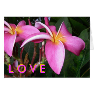 Cartão Plumeria L O V E