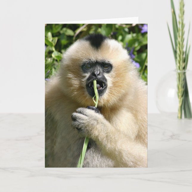 Cartão Poço olá! lá (Frente)