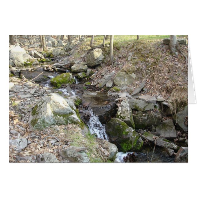 Cartão Poconos Pensilvânia (Frente Horizontal)